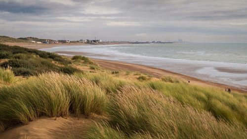 Best Beaches Near London: Escape To Sandy Shores With This Quick Guide